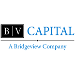 BVCapital-A Bridgeview Company Horiz