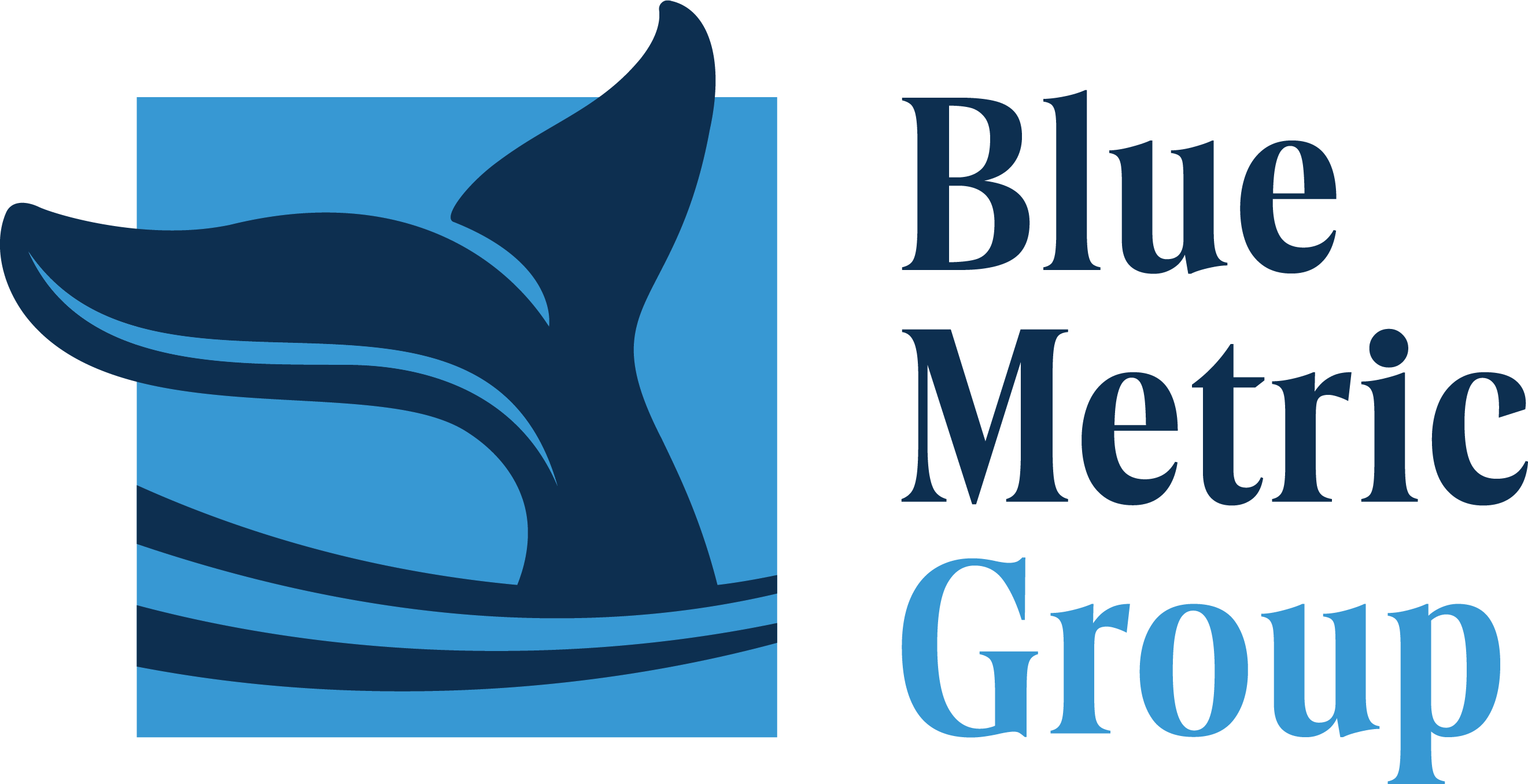 Blue Metric Group_PrimaryLogo_RevJan2025